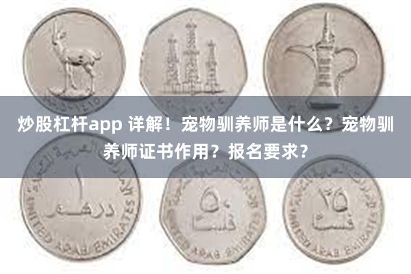 炒股杠杆app 详解！宠物驯养师是什么？宠物驯养师证书作用？报名要求？