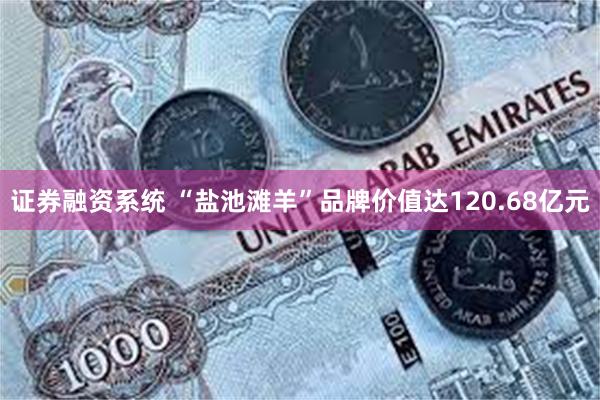 证券融资系统 “盐池滩羊”品牌价值达120.68亿元