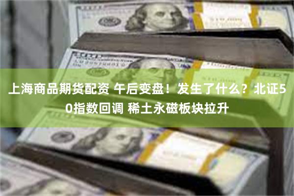 上海商品期货配资 午后变盘！发生了什么？北证50指数回调 稀土永磁板块拉升