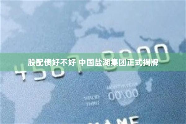 股配债好不好 中国盐湖集团正式揭牌