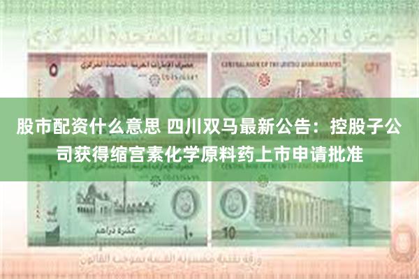 股市配资什么意思 四川双马最新公告：控股子公司获得缩宫素化学原料药上市申请批准