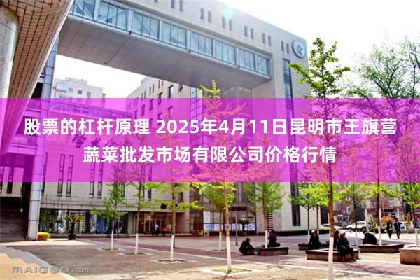 股票的杠杆原理 2025年4月11日昆明市王旗营蔬菜批发市场有限公司价格行情