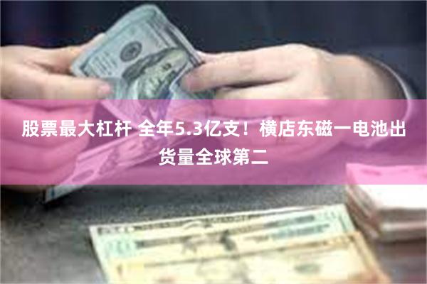 股票最大杠杆 全年5.3亿支！横店东磁一电池出货量全球第二