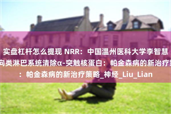实盘杠杆怎么提现 NRR：中国温州医科大学李智慧/陈江帆团队总结靶向类淋巴系统清除α-突触核蛋白：帕金森病的新治疗策略_神经_Liu_Lian