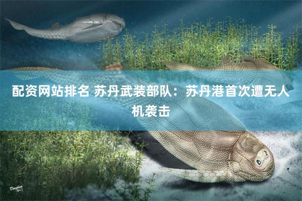 配资网站排名 苏丹武装部队：苏丹港首次遭无人机袭击