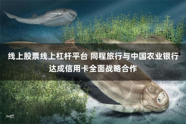 线上股票线上杠杆平台 同程旅行与中国农业银行达成信用卡全面战略合作