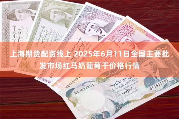 上海期货配资线上 2025年6月11日全国主要批发市场红马奶葡萄干价格行情