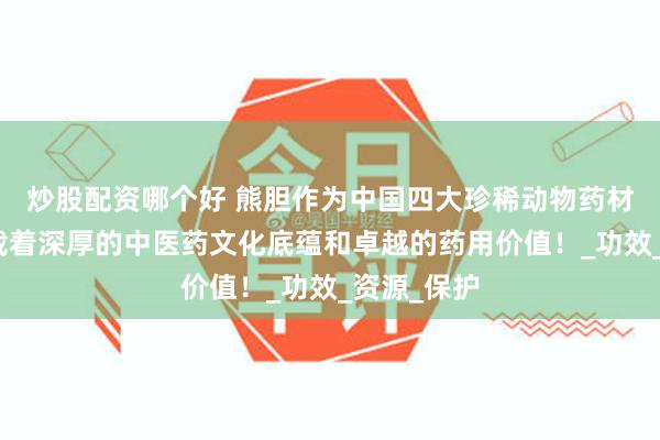 炒股配资哪个好 熊胆作为中国四大珍稀动物药材之首，承载着深厚的中医药文化底蕴和卓越的药用价值！_功效_资源_保护