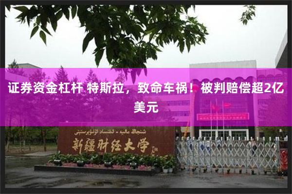 证券资金杠杆 特斯拉，致命车祸！被判赔偿超2亿美元