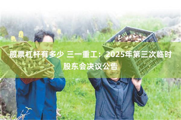 股票杠杆有多少 三一重工：2025年第三次临时股东会决议公告