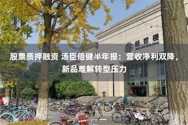 股票质押融资 汤臣倍健半年报：营收净利双降，新品难解转型压力